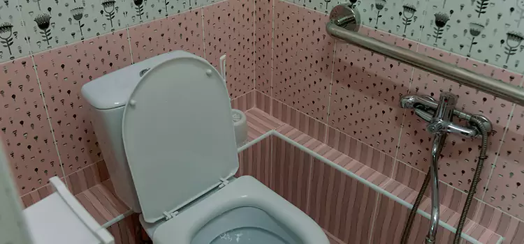 Meeting Diverse Needs With Accessible Restroom Solutions in Middle River, MD